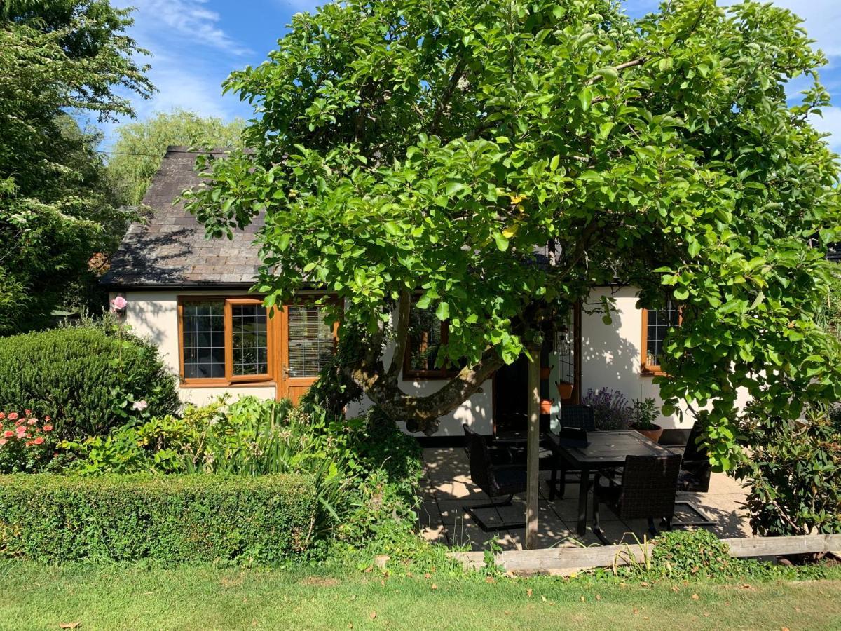 Newton Farmhouse Whiteparish Dış mekan fotoğraf